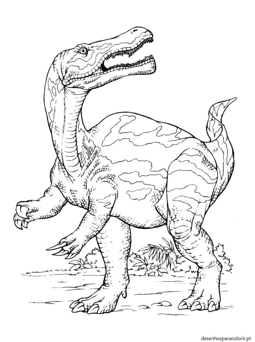 Desenhos de dinossauros grátis para pintar 124